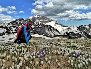 86 Crocus, Arera, Piero in attesa del sole